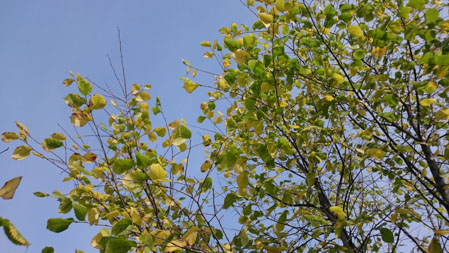 449x253  58 KB. Big one: 3840x2160  4252 KB