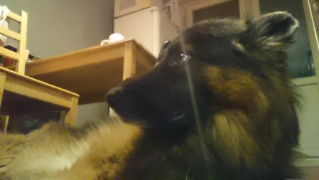 449x253  56 KB. Big one: 1920x1080  598 KB