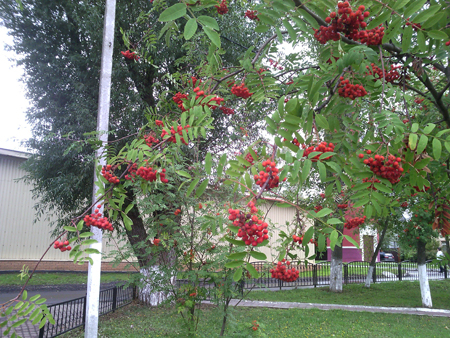 450x338  277 KB. Big one: 2560x1920  1917 KB