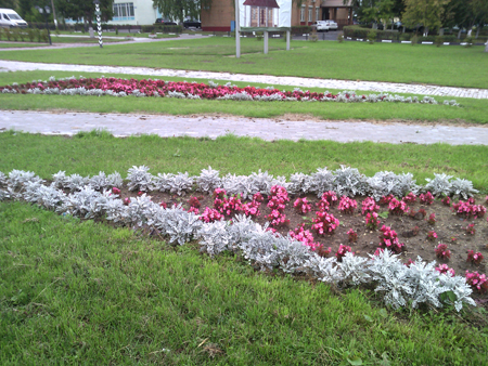 450x338  253 KB. Big one: 2560x1920  1698 KB