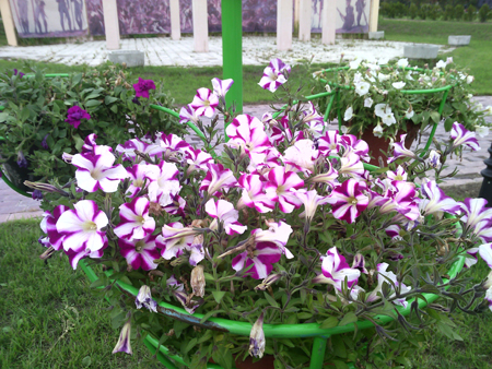 450x338  265 KB. Big one: 2560x1920  1230 KB