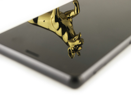 449x337  43 KB. Big one: 1499x1124  297 KB