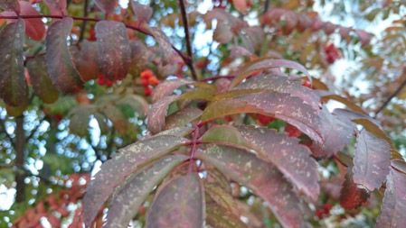 449x253  52 KB. Big one: 3840x2160  3086 KB