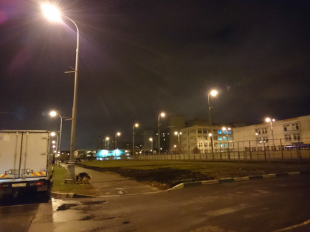 449x337  46 KB. Big one: 5248x3936  8037 KB