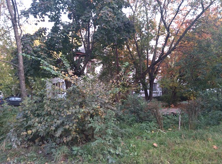 450x333  98 KB. Big one: 4208x3120  5963 KB