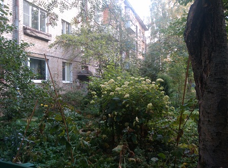 450x333  85 KB. Big one: 4208x3120  5355 KB