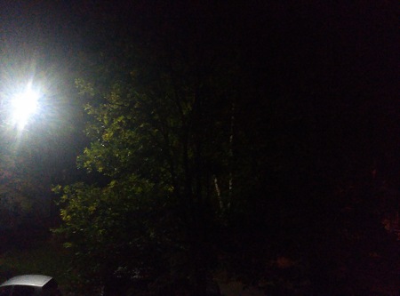 450x333  30 KB. Big one: 4208x3120  2632 KB