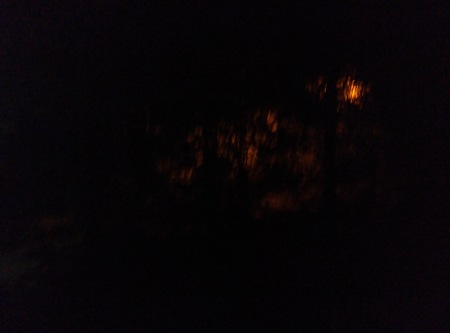 450x333  18 KB. Big one: 4208x3120  2109 KB