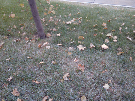 450x338  261 KB. Big one: 4160x3120  3521 KB