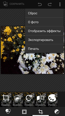 253x450  138 KB. Big one: 844x1500  985 KB