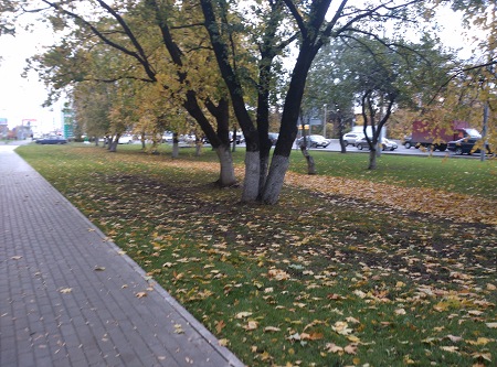 450x333  87 KB. Big one: 4208x3120  5047 KB