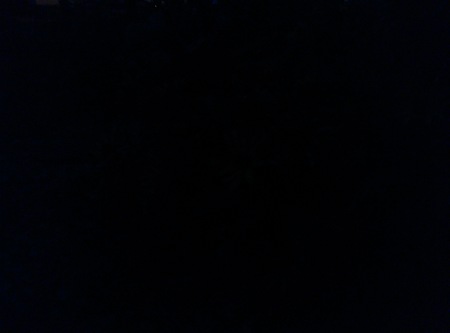 450x333  9 KB. Big one: 4208x3120  2257 KB