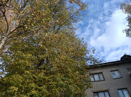 450x333  96 KB. Big one: 4208x3120  6616 KB