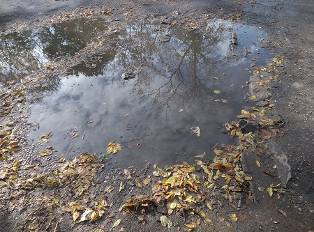 450x333  89 KB. Big one: 4208x3120  6753 KB