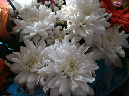 450x333  54 KB. Big one: 4208x3120  2722 KB