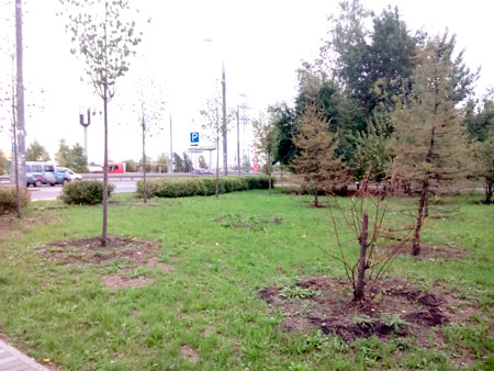 450x338  52 KB. Big one: 2560x1920  845 KB