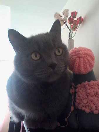 338x450  23 KB. Big one: 1200x1600  156 KB