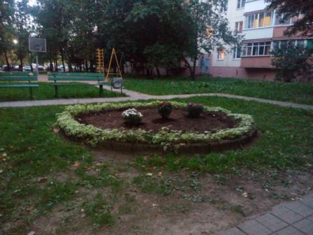 448x336  41 KB. Big one: 3264x2448  1164 KB