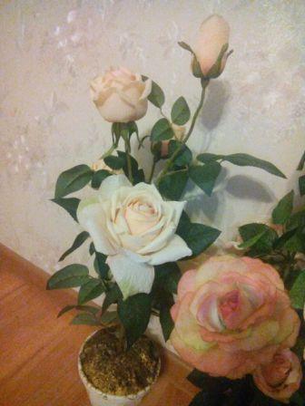 336x448  31 KB. Big one: 1920x2560  1075 KB