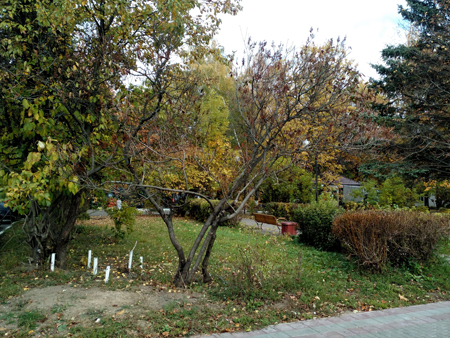 450x338  261 KB. Big one: 4160x3120  7413 KB