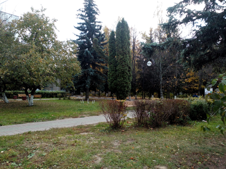 450x338  218 KB. Big one: 4160x3120  6621 KB