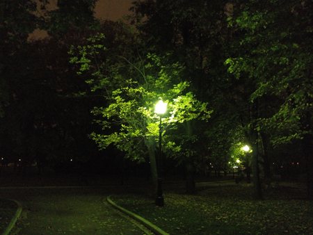 450x338  152 KB. Big one: 4160x3120  3895 KB