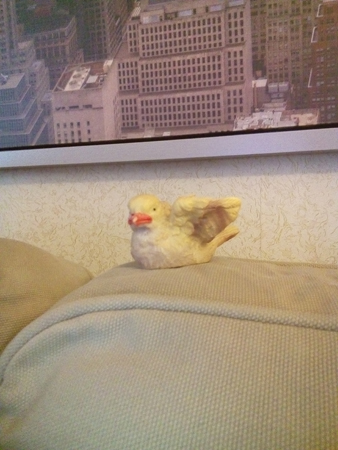 338x450  134 KB. Big one: 1920x2560  2057 KB