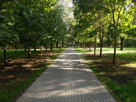 450x338  64 KB. Big one: 4160x3120  5370 KB