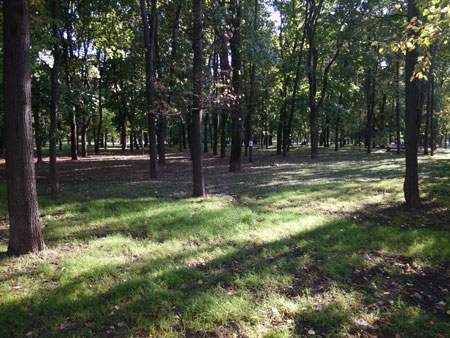 450x338  66 KB. Big one: 4160x3120  5590 KB