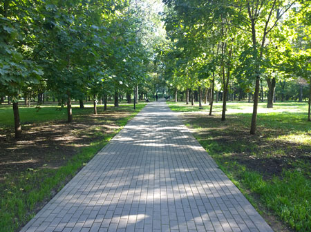 450x336  69 KB. Big one: 2592x1936  2788 KB