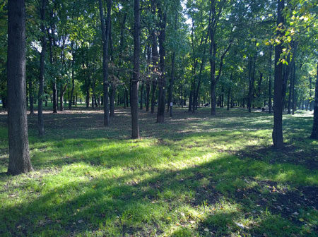 450x336  65 KB. Big one: 2592x1936  3105 KB