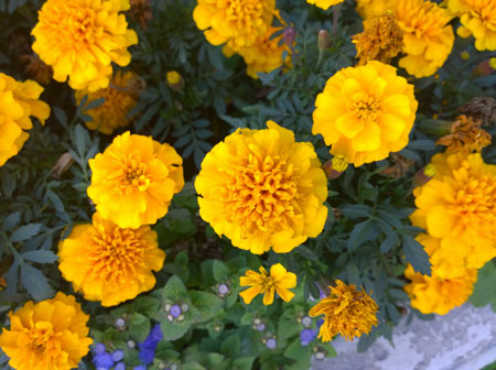 450x336  52 KB. Big one: 2592x1936  1294 KB