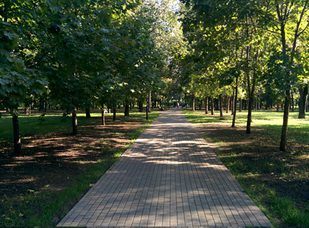 450x333  68 KB. Big one: 3200x2368  3739 KB