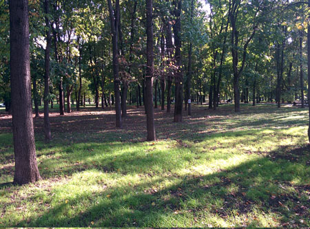 450x333  72 KB. Big one: 3200x2368  4744 KB