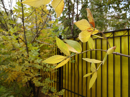 450x338  56 KB. Big one: 4160x3120  3411 KB