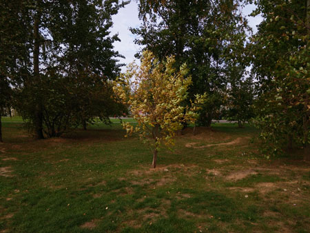 450x338  55 KB. Big one: 4160x3120  5537 KB