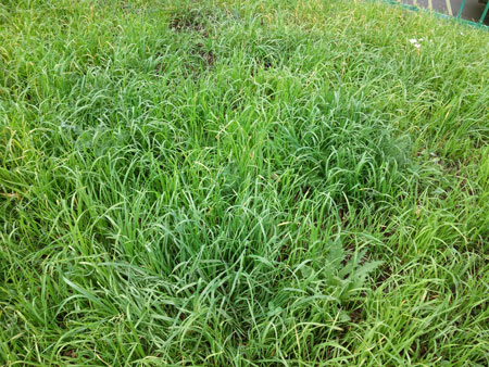 450x338  84 KB. Big one: 4160x3120  6944 KB