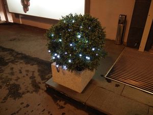 300x225  15 KB. Big one: 4160x3120  3374 KB