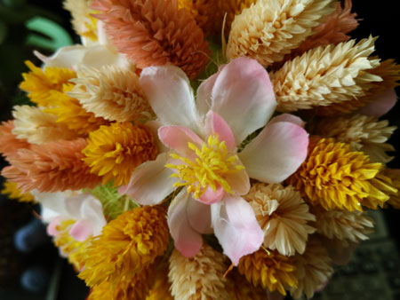 450x338  45 KB. Big one: 4160x3120  3007 KB