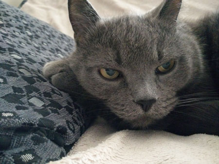 450x338  39 KB. Big one: 4160x3120  3472 KB