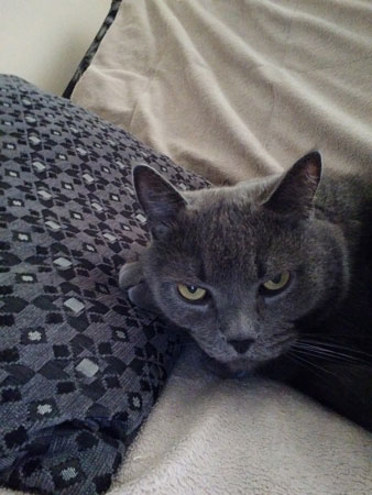 338x450  38 KB. Big one: 2400x3200  3105 KB