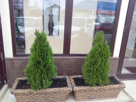 450x337  116 KB. Big one: 3264x2448  1673 KB