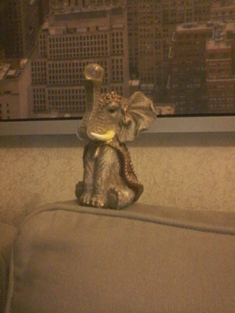 338x450  139 KB. Big one: 960x1280  366 KB