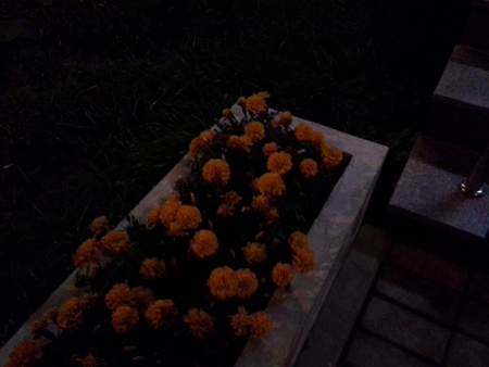 450x338  106 KB. Big one: 2560x1920  789 KB