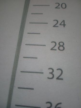 336x448  19 KB. Big one: 3072x4096  1038 KB