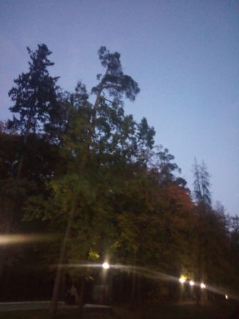 336x448  27 KB. Big one: 3072x4096  2050 KB