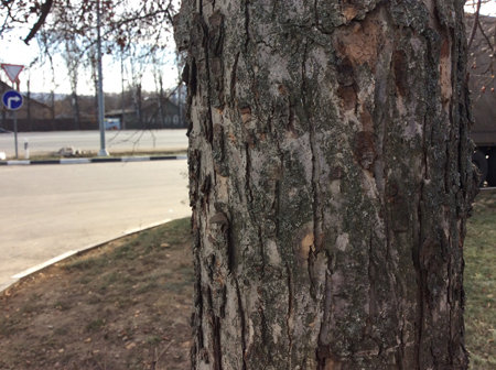 450x336  171 KB. Big one: 2592x1936  1862 KB