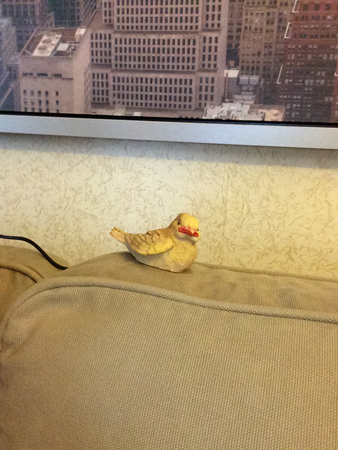 338x450  150 KB. Big one: 960x1280  370 KB