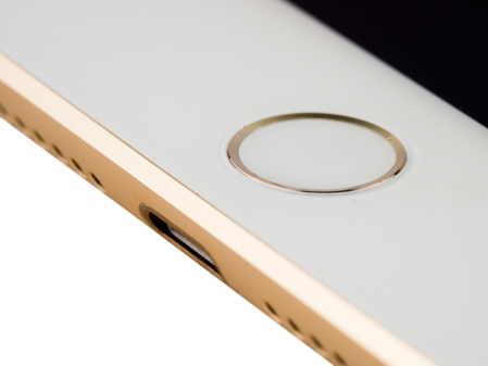 449x337  57 KB. Big one: 1499x1124  452 KB