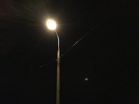 449x337  54 KB. Big one: 3264x2448  2340 KB